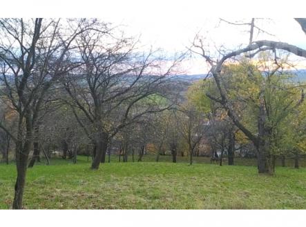 Prodej zahrady 3 492 m2 - Přílepy u Holešova-Vinohrádky | Prodej - pozemek, zahrada, 3 492 m²