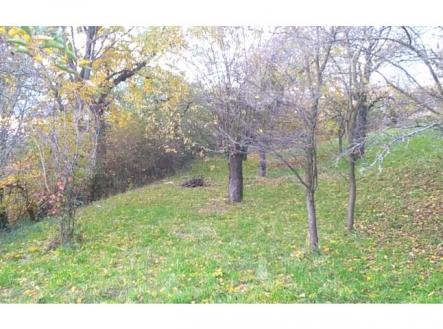 Prodej zahrady 3 492 m2 - Přílepy u Holešova-Vinohrádky | Prodej - pozemek, zahrada, 3 492 m²