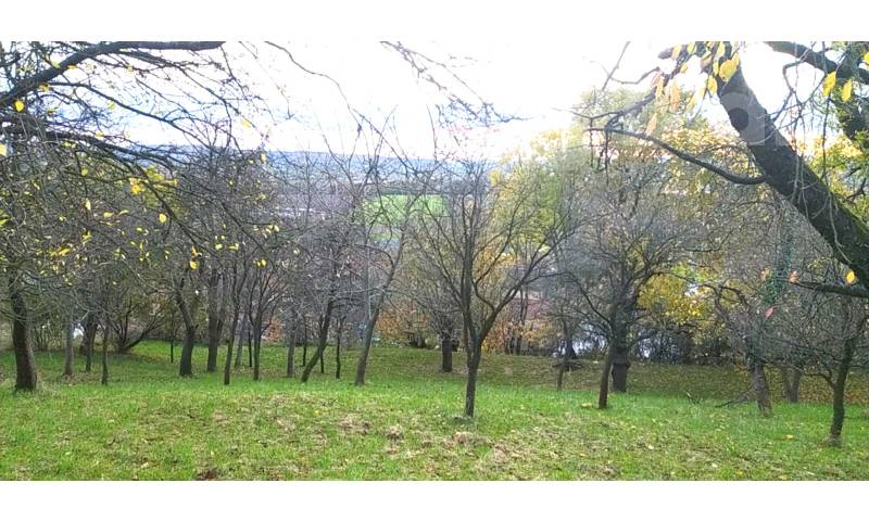 Prodej zahrady 3 492 m2 - Přílepy u Holešova-Vinohrádky