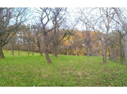 Prodej zahrady 3 492 m2 - Přílepy u Holešova-Vinohrádky | Prodej - pozemek, zahrada, 3 492 m²