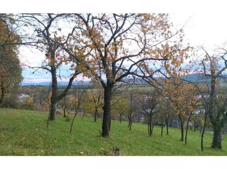 Prodej zahrady 3 492 m2 - Přílepy u Holešova-Vinohrádky | Prodej - pozemek, zahrada, 3 492 m²