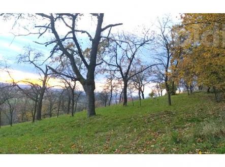 Prodej zahrady 3 492 m2 - Přílepy u Holešova-Vinohrádky | Prodej - pozemek, zahrada, 3 492 m²