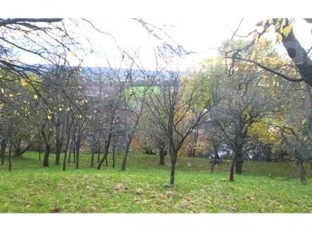 Prodej zahrady 3 492 m2 - Přílepy u Holešova-Vinohrádky | Prodej - pozemek, zahrada, 3 492 m²