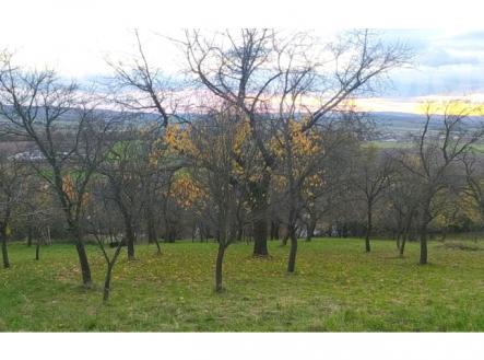 Prodej zahrady 3 492 m2 - Přílepy u Holešova-Vinohrádky | Prodej - pozemek, zahrada, 3 492 m²