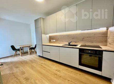 Pronájem bytu Brno- centrum | Pronájem bytu, 1+kk, 47 m²