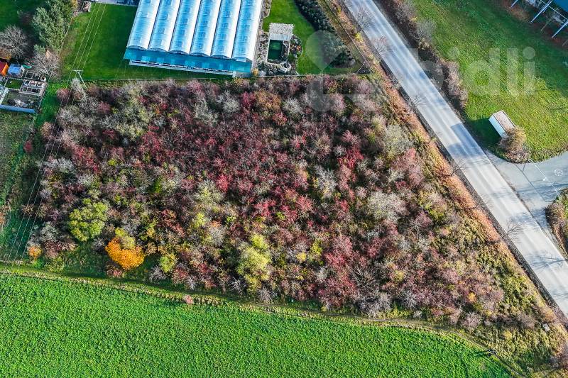 Prodej pozemku 7 169 m&#178; Postřižín