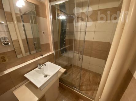 Pronájem bytu 2+1, Dr.Horáka, Prostějov | Pronájem bytu, 2+1, 52 m²