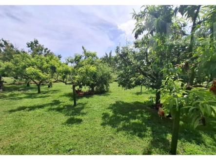 Výjimečný pravidelný rovný stavební pozemek - Čejkovice, okres Znojmo | Prodej - pozemek pro bydlení, 1 313 m²