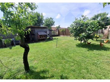 Výjimečný pravidelný rovný stavební pozemek - Čejkovice, okres Znojmo | Prodej - pozemek pro bydlení, 1 313 m²