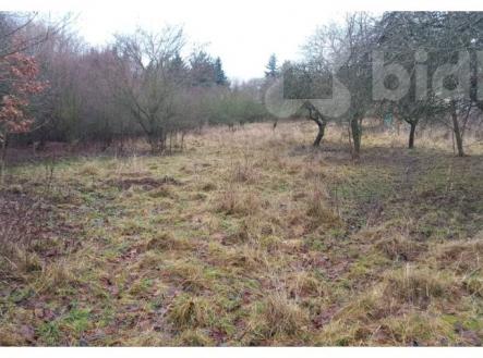 Prodej pozemku pro bydlení a investici v obci Dobrovítov | Prodej - pozemek, zahrada, 5 207 m²