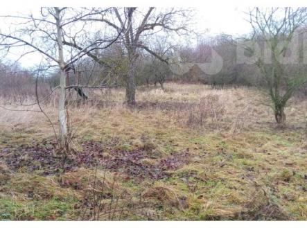 Prodej pozemku pro bydlení a investici v obci Dobrovítov | Prodej - pozemek, zahrada, 5 207 m²