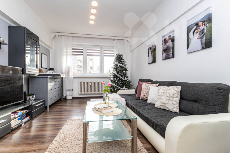 Boženy Němcové 479