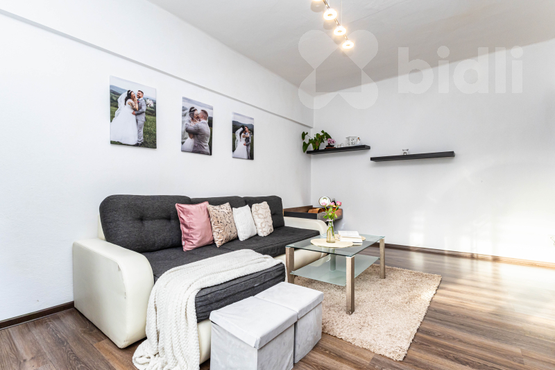 Boženy Němcové 479