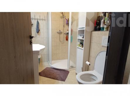 Koupelna s WC | Pronájem bytu, 2+1, 54 m²