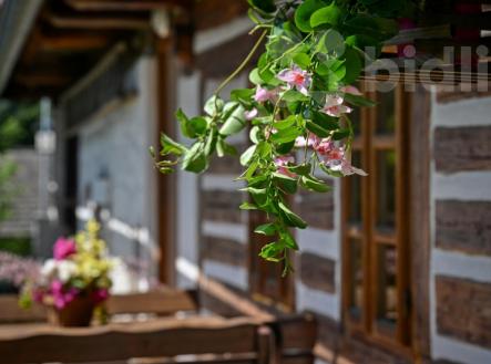 Roubenka Dolní Nemojov - chalupa s kouzlem i výnosem | Prodej - dům/vila, 50 m²