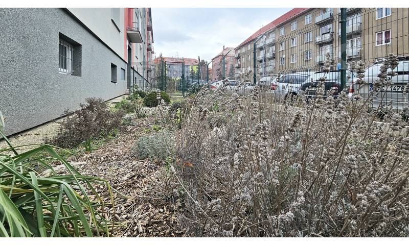 Pronájem bytu 2+1, 52 m2, Jirkov, ul. K. H. Máchy