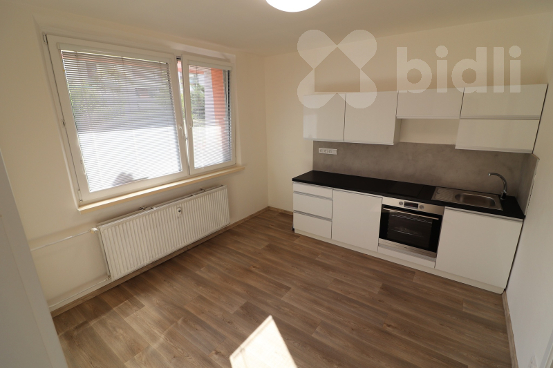 Pronájem, byt 1+1 se zahradou, U Trojáku, Zlín - Jižní Svahy