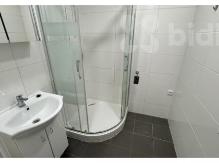 Pronájem, byt 1+1 se zahradou, U Trojáku, Zlín - Jižní Svahy | Pronájem bytu, 1+1, 51 m²