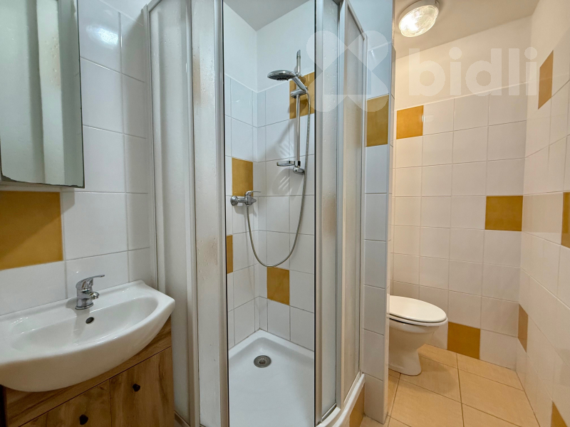 Pronájem bytu 2+kk 39 m2, J.Opletala České Budějovice