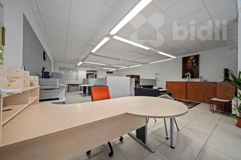 Pronájem nebytového prostoru s možností bydlení, Svobodné Dvory, Hradec Králové