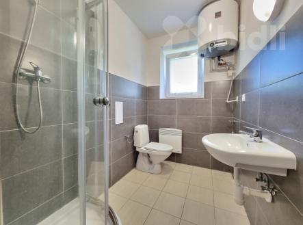 Pronájem cihlového bytu 1+kk v Prosenicích. | Pronájem bytu, 1+kk, 30 m²