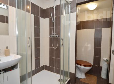 Byt 3+kk/L, 63 m2, panel, Týnec n. Sázavou | Prodej bytu, 3+kk, 63 m²