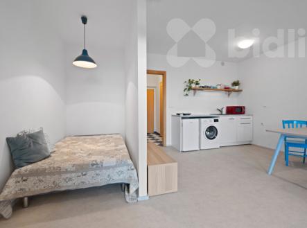 Pronájem bytu 1+kk (38 m²) Podolí | Pronájem bytu, 1+kk, 38 m²