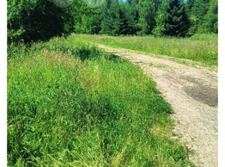 Prodej pozemku v obci Velké Opatovice - Velká Roudka, okr. Blansko | Prodej - pozemek, trvalý travní porost, 2 923 m²