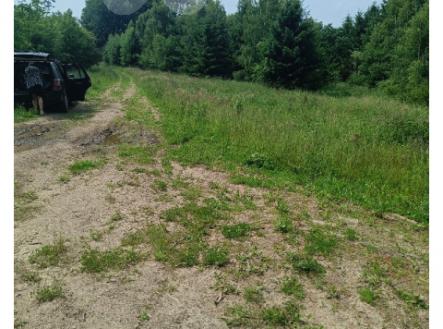 Prodej pozemku v obci Velké Opatovice - Velká Roudka, okr. Blansko | Prodej - pozemek, trvalý travní porost, 2 923 m²