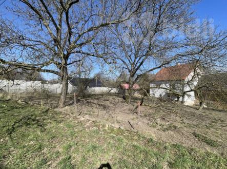 Prodej pozemku 1383m2 pro bydlení - Zaloňov | Prodej - pozemek pro bydlení, 1 383 m²
