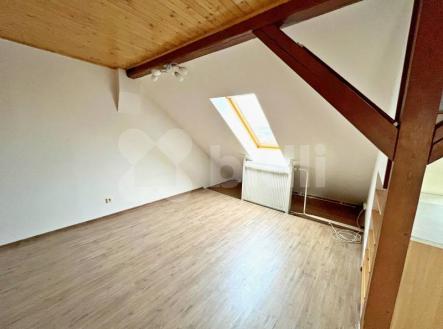 Pronájem prostorného bytu 1+kk v Suchém Vrbném v Českých Budějovicích | Pronájem bytu, 1+kk, 44 m²