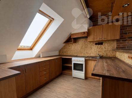 Pronájem prostorného bytu 1+kk v Suchém Vrbném v Českých Budějovicích | Pronájem bytu, 1+kk, 44 m²