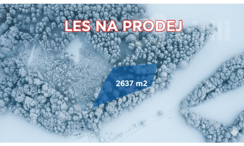 Prodej lesního pozemku 2 637 m2, Velké Hamry - Bohdalovice