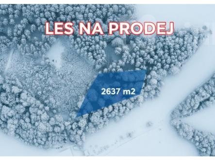 Prodej lesního pozemku 2 637 m2, Velké Hamry - Bohdalovice | Prodej - pozemek, les, 2 637 m²