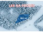 Prodej - pozemek, les, 2 637 m²