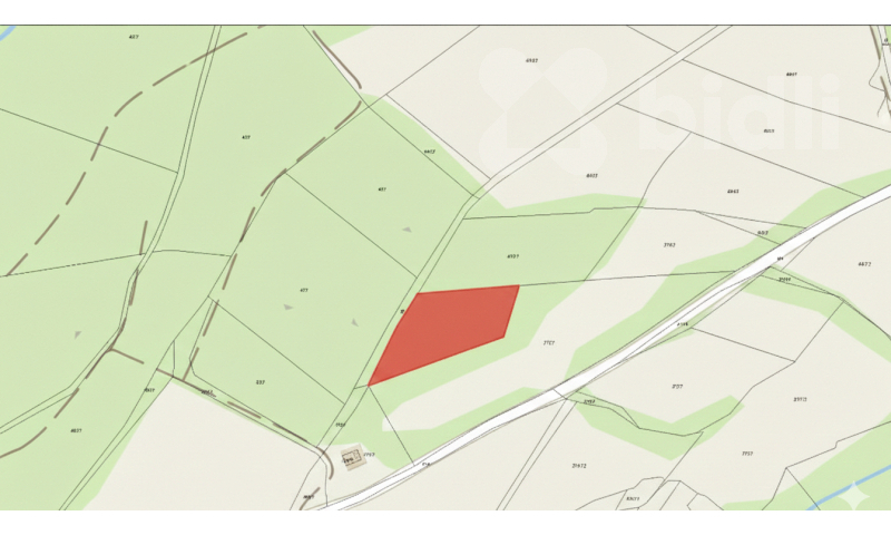 Prodej lesního pozemku 2 637 m2, Velké Hamry - Bohdalovice