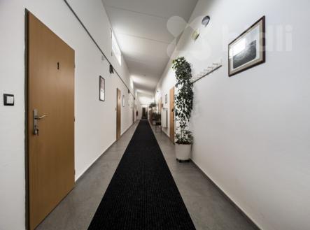 Prodej ubytovacího zařízení 433m2, pozemek 597 m2 | Prodej - penzion, 370 m²