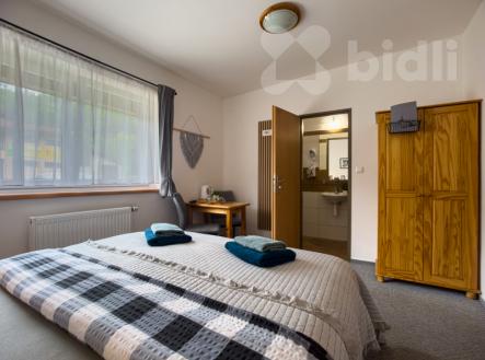 Prodej ubytovacího zařízení 433m2, pozemek 597 m2 | Prodej - penzion, 370 m²