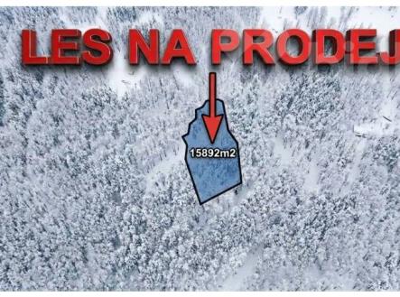 Prodej lesního pozemku 15 892 m2 - Bohdalovice u Velkých Hamrů | Prodej - pozemek, les, 15 892 m²