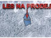 Prodej - pozemek, les, 15 892 m²