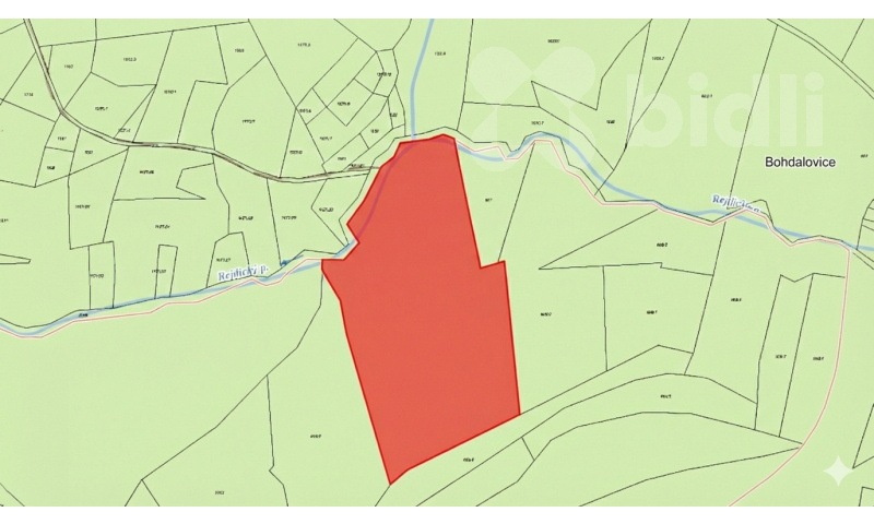 Prodej lesního pozemku 15 892 m2 - Bohdalovice u Velkých Hamrů