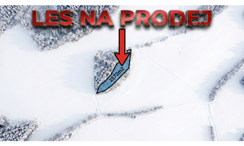 Prodej lesního pozemku 2 572 m2 - Bohdalovice u Velkých Hamrů