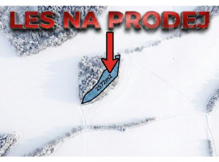 Prodej lesního pozemku 2 572 m2 - Bohdalovice u Velkých Hamrů | Prodej - pozemek, les, 2 572 m²