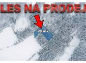 Prodej - pozemek, les, 9 055 m²