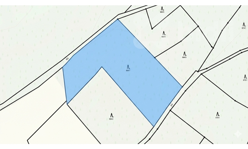Prodej lesního pozemku 9 055 m2 - Bohdalovice u Velkých Hamrů