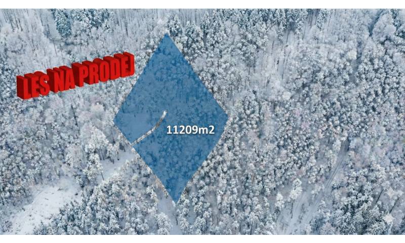 Prodej lesního pozemku 11 209 m2 - Bohdalovice u Velkých Hamrů