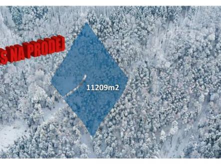 Prodej lesního pozemku 11 209 m2 - Bohdalovice u Velkých Hamrů | Prodej - pozemek, les, 11 209 m²