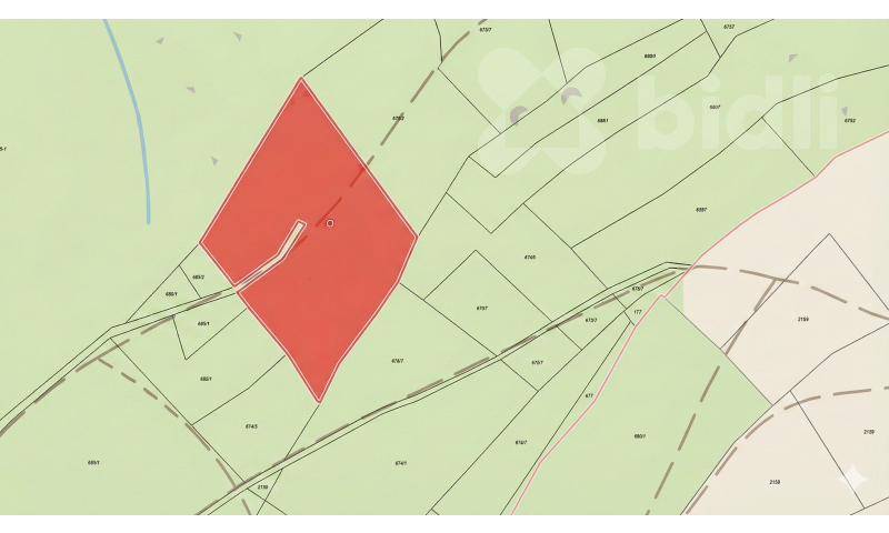 Prodej lesního pozemku 11 209 m2 - Bohdalovice u Velkých Hamrů