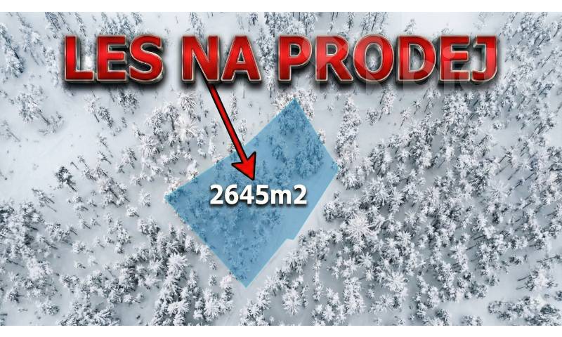 Prodej lesního pozemku 2 645 m2 - Bohdalovice u Velkých Hamrů