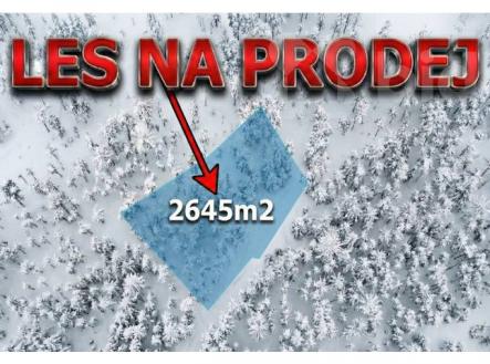 Prodej lesního pozemku 2 645 m2 - Bohdalovice u Velkých Hamrů | Prodej - pozemek, les, 2 645 m²
